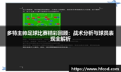 熊猫体育网址
