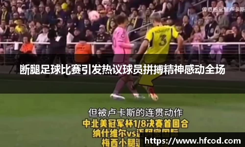 熊猫体育官网