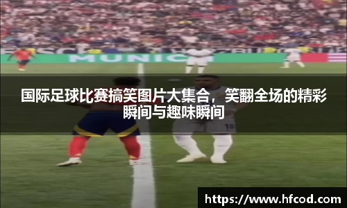 熊猫体育官网