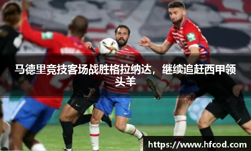 熊猫体育