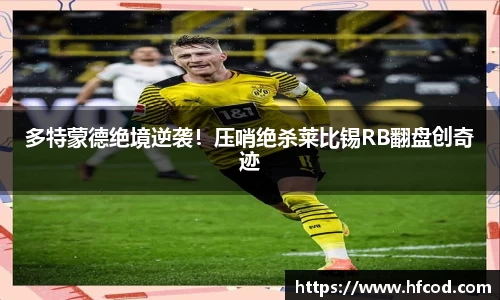 熊猫体育平台