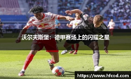 熊猫体育平台