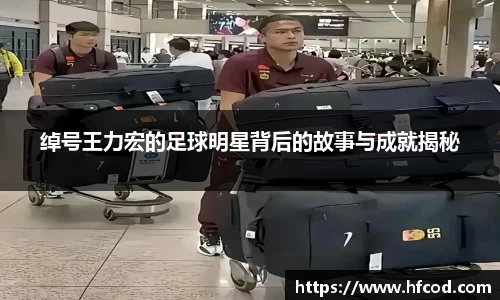 绰号王力宏的足球明星背后的故事与成就揭秘